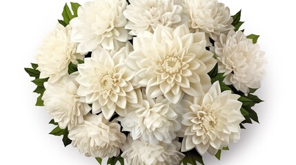 white chrysanthemum flowers