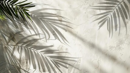 delicate shadow of palm leaves on white concrete light beige wall tropical background