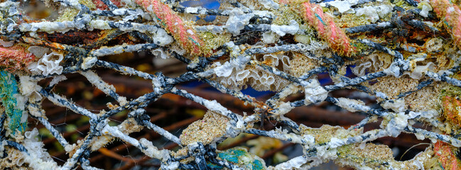 Encrusted fishing net