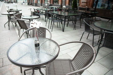   Table  decorated  with cotton flowers branch . Copy space .  Summer terrace on outdoor cafe.