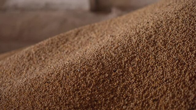 A pile of soybean grain in storage.