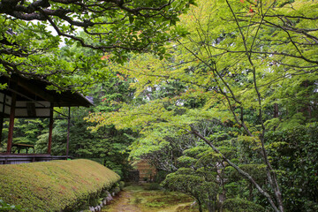 Obraz premium 妙心寺塔頭桂春院の境内風景