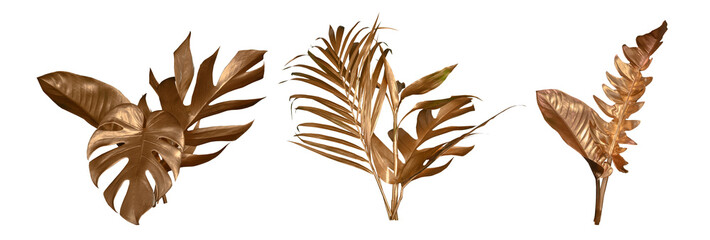 Golden tropical leaf PNG on transparent background Abstract monstera leaf decoration design, PNG.