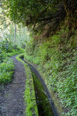 Madeira - Levada Wanderung bei Referta
