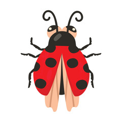 Cartoon ladybird beetle isolated on white background.Spotted ladybug with wings, eyes and antennae.Red and black color insect top view.Wildlife vector design for use in card,banner,pattern,sticker.