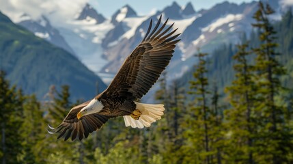 Obraz premium Majestic Bald Eagle Soaring over Mountain Landscape Wildlife Photography