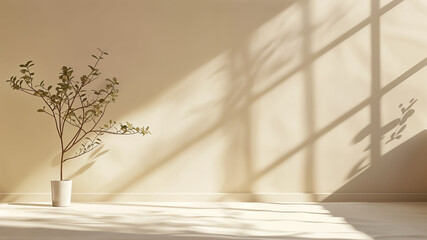 Soft Light Beige Background with Window Shadows, Minimalistic abstract simple gentle light beige background for product presentation with light and beautiful shadow from window on wall