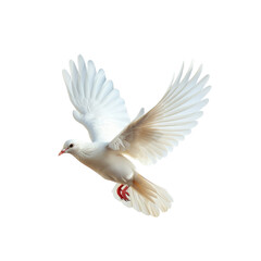 A white bird with red feet is flying in the air