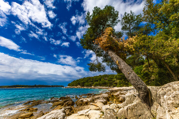 Landscape of the Croatian coast around Rovinj, rocky beaches, azure Adriatic Sea