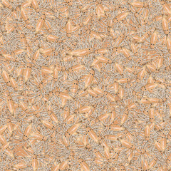 Prehistoric sea scorpion model motif random pattern