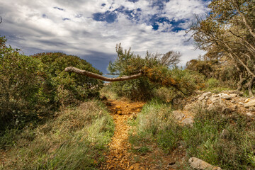 Landscape of the Croatian coast around Rovinj, rocky beaches, azure Adriatic Sea