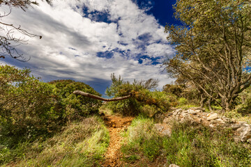 Landscape of the Croatian coast around Rovinj, rocky beaches, azure Adriatic Sea