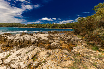 Landscape of the Croatian coast around Rovinj, rocky beaches, azure Adriatic Sea