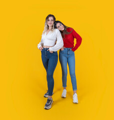 Two young beautiful caucasian smiling female in trendy casual dress jeans clothes. Carefree women best friend girls posing over yellow studio background Full body positive models, friendship concept. 