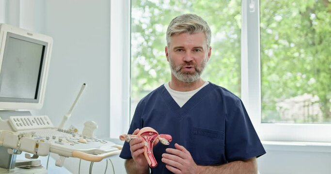A gynecologist explaining the female reproductive system using an anatomical model in a clinic setting with medical equipment. Gynecologist . Concept of timely ultrasound diagnostics women health