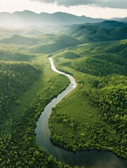 An aerial shot of a winding river cutting through a dense forest, demonstrating the vastness and untouched beauty of nature