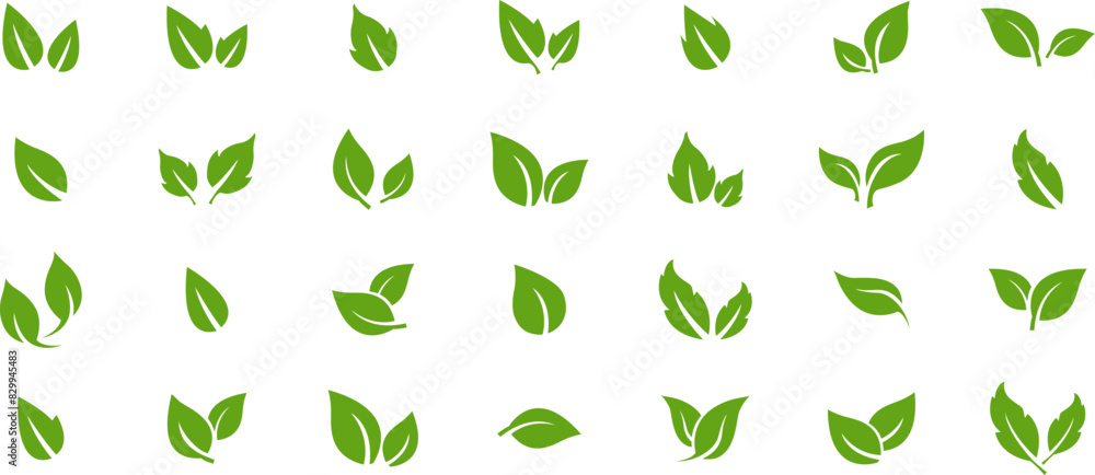 Wall mural Green leaf icons set. Leaves icon on transparent background. Collection green leaf. Elements design for natural, eco, vegan, bio labels. Vector illustration EPS 10