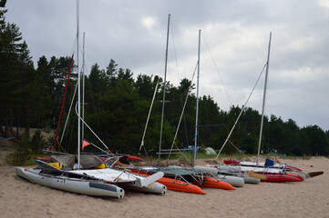 Catamarans with masts on sand near forest.