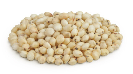 Sorghum seeds isolated on white background with full depth of field.