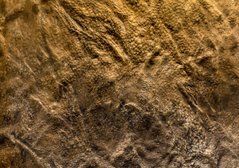 Close-up of Dinosaur Skin Texture