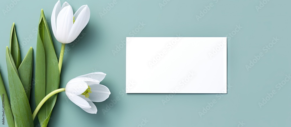 Poster A close up view of a springtime greeting card featuring a white blank card with a beautiful snowdrop flower in a top down perspective The image is ready for text insertion. with copy space image