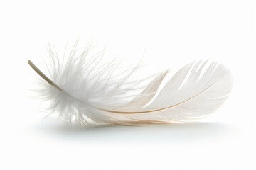 Obraz premium A soft feather falling gently, signifying peaceful slumber, isolated on a white background 