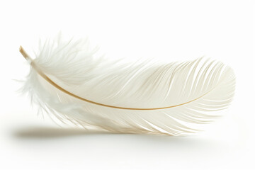 Obraz premium A soft feather falling gently, signifying peaceful slumber, isolated on a white background 