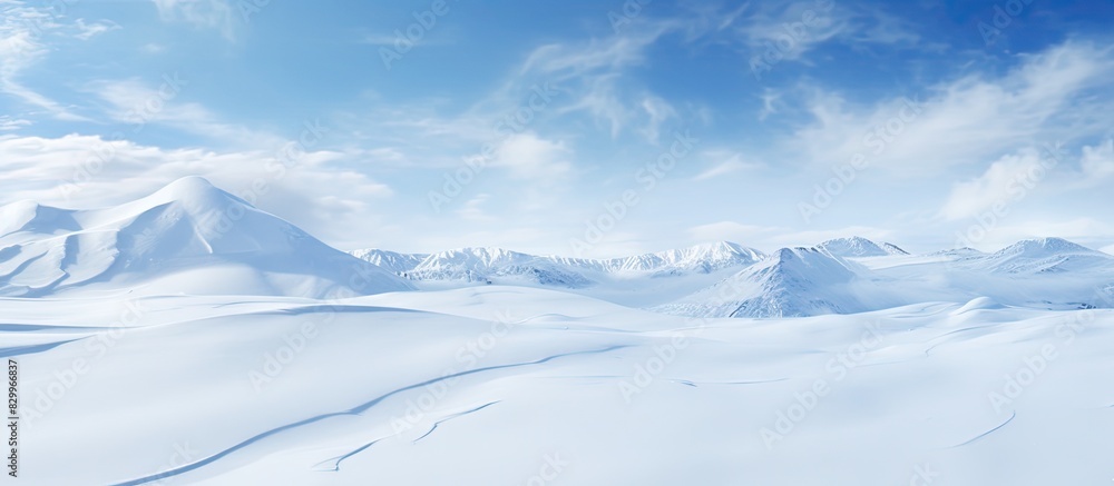 Leinwandbilder the fresh white snow has a smooth and pristine texture perfect for capturing in a copy space image