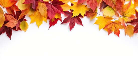 Fototapeta premium A beautiful arrangement of colorful autumn leaves on a white background creating a frame for your copy space image