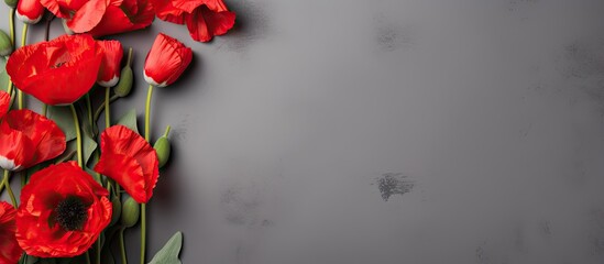 A top down view of a gray background adorned with red poppy flowers and a blank sheet of paper This holiday inspired image can be used for greeting cards invitations or as a mockup