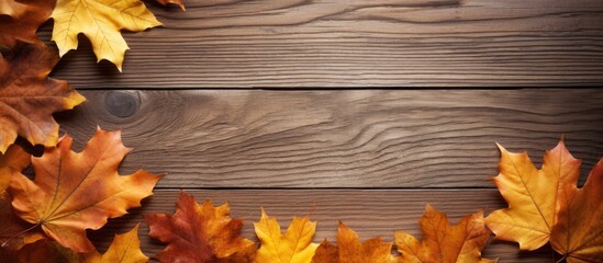 Flat lay of dry autumn leaves from a maple tree on a wooden table providing copy space for text - Powered by Adobe