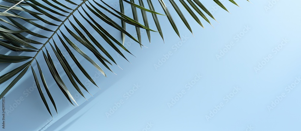 Poster A hazy silhouette of palm leaves casts a shadow against a soft blue wall creating a minimalist abstract backdrop for showcasing products Perfect for spring and summer promotions Copy space image