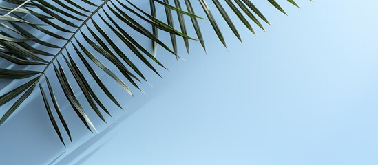 Obraz premium A hazy silhouette of palm leaves casts a shadow against a soft blue wall creating a minimalist abstract backdrop for showcasing products Perfect for spring and summer promotions Copy space image