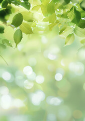 Background for a flyer, leaves against the light, blurred, green, nature.