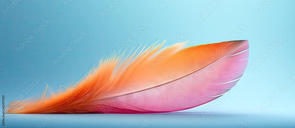 Poster Close up photo of a colored feather on a clean background featuring a beautiful minimal and bright composition with soft and colorful tones Copy space image
