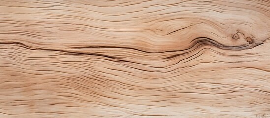 Close up of a texture with an old and light wood surface perfect for copy space image