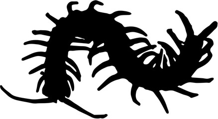 Silhouette of a centipede di 