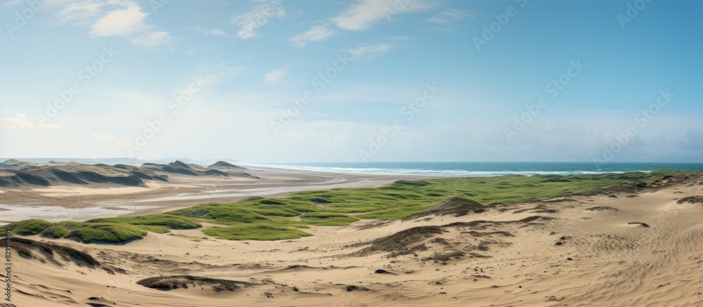 Wall mural Panoramic view of the natural landscape near the sea showcasing the last row of dunes before the beach with ample copy space image