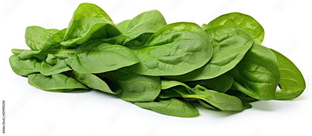 Aufkleber isolated on a white background there s a close up of fresh spinach leaves ready for copy space image