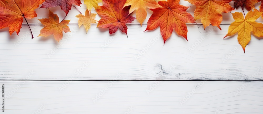 Poster autumn leaves provide a vibrant display on a white wooden table creating a stunning copy space image