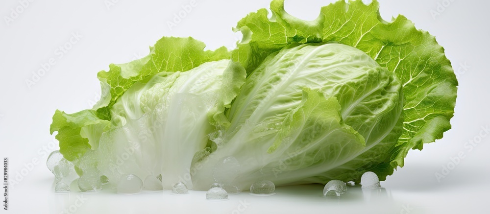 Poster An image of an iceberg lettuce with a white background providing ample copy space for additional content