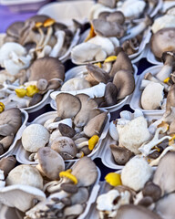 Spring farmers market, Denver Colorado USA