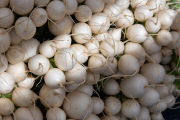Spring farmers market, Denver Colorado USA