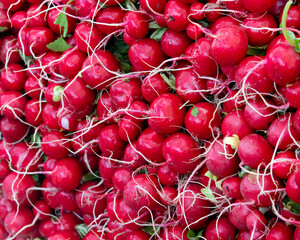 Spring farmers market, Denver Colorado USA