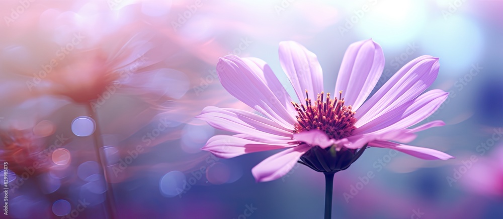 Aufkleber a background image of a flower with a blurred effect allowing for copy space