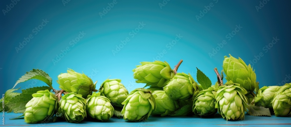 Poster a copy space image featuring the arrangement of vibrant green hop cones on a backdrop of blue ideal 