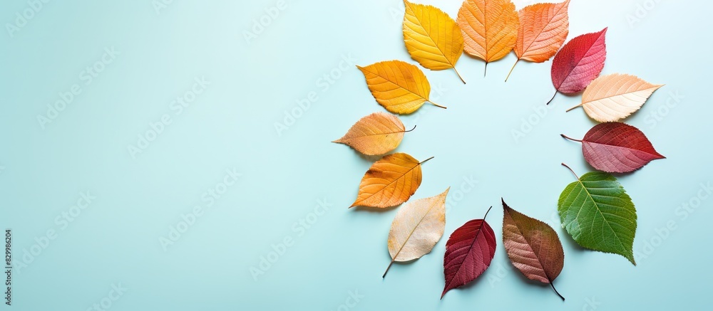 Poster A copy space image featuring leaves in various colors arranged in a circular shape on an aqua background symbolizes the annual life cycle of a tree or human complete with a new year gift box