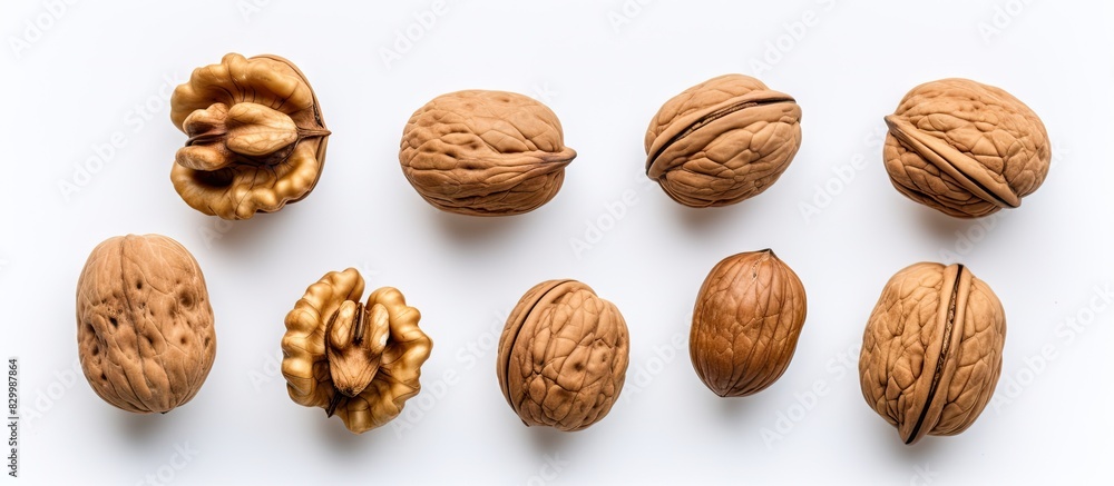 Poster A top down view of isolated walnut kernels on a white background with room for additional content in the image