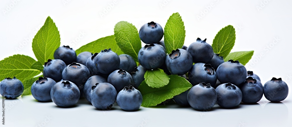 Poster Closeup of fresh blueberries and melissa leaves standing alone on a white background in a clear and focused image with plenty of space for adding text or graphics. with copy space image