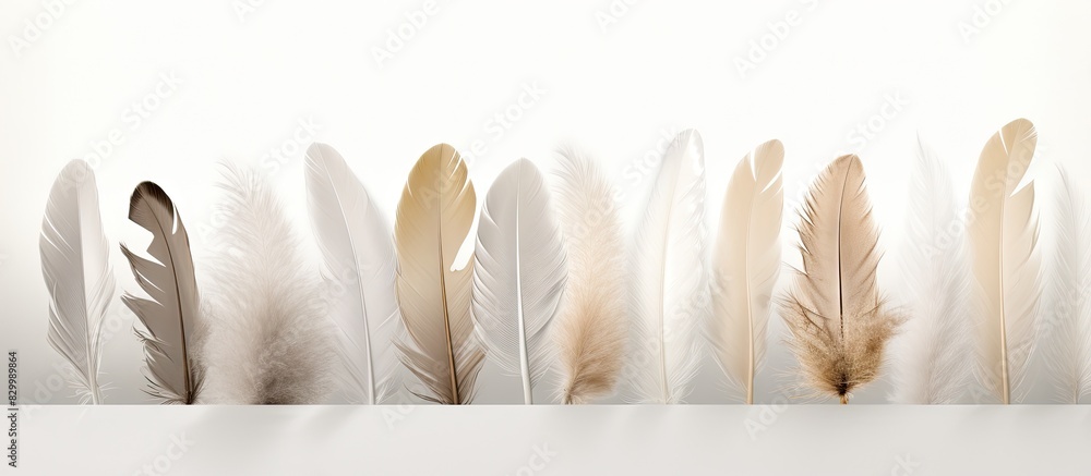 Poster A copy space image featuring casually arranged delicate feathers in beige and gray on a white abstract background